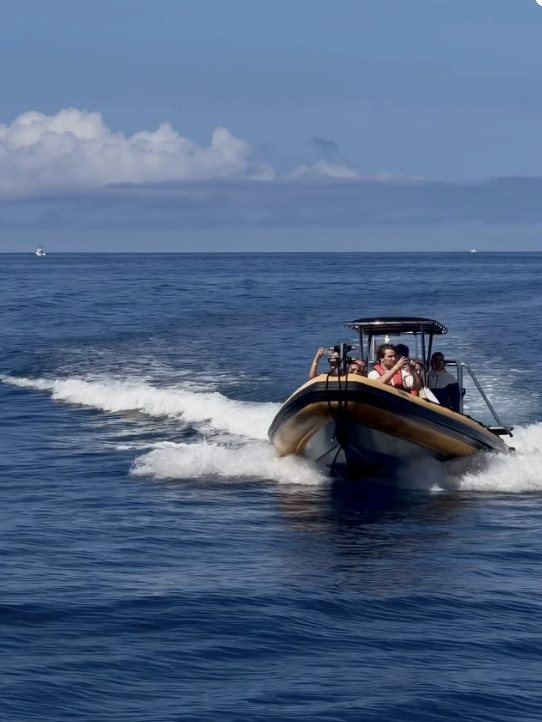 Guests on a semi-rigid speedboat off the coast of Madeira
