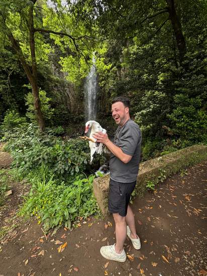 Guest hiking past a small waterfall in Madeira's forest
